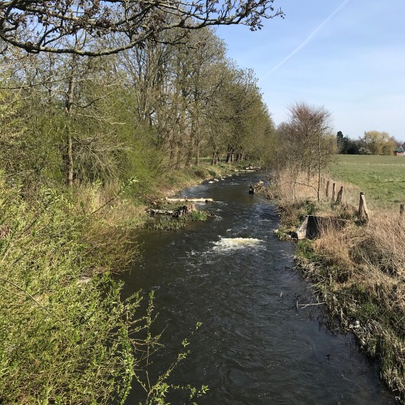 sjaTOQwUQmiZbfzoorJ49g